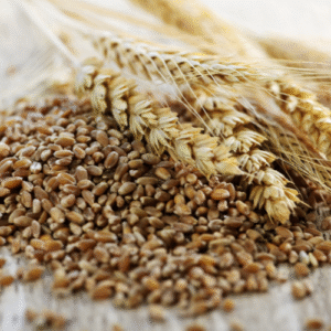 grains